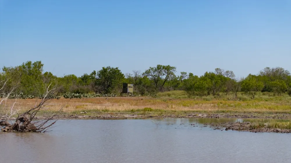 242 Cinco Millas Road Tilden, TX 78072