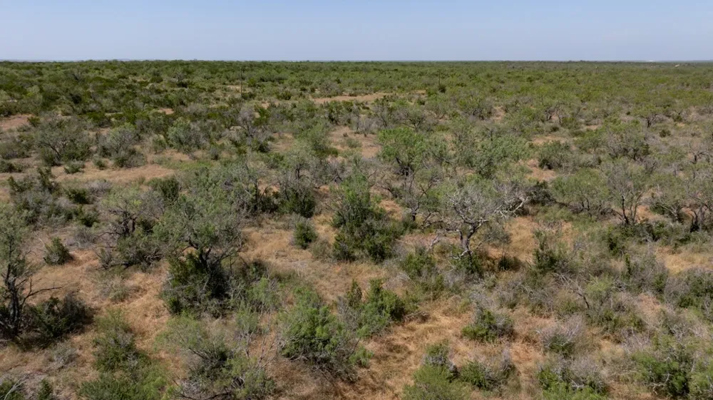 242 Cinco Millas Road Tilden, TX 78072