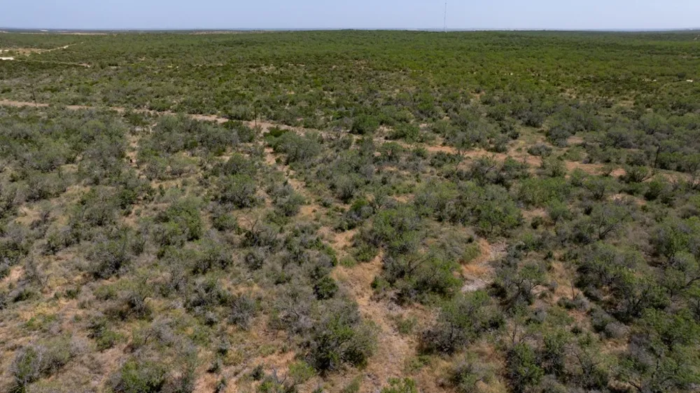 242 Cinco Millas Road Tilden, TX 78072