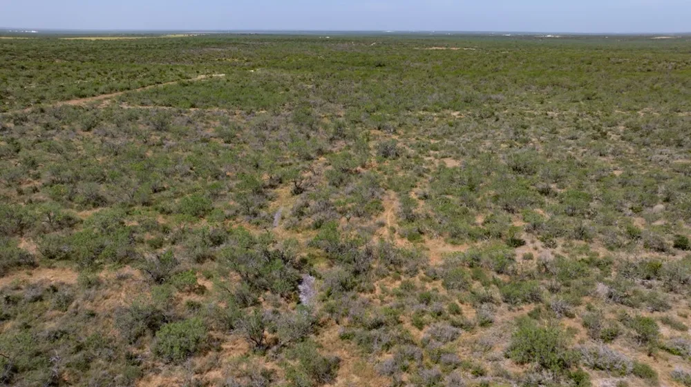 242 Cinco Millas Road Tilden, TX 78072