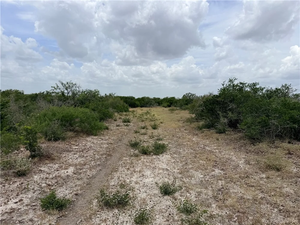 242 Cinco Millas Road Tilden, TX 78072