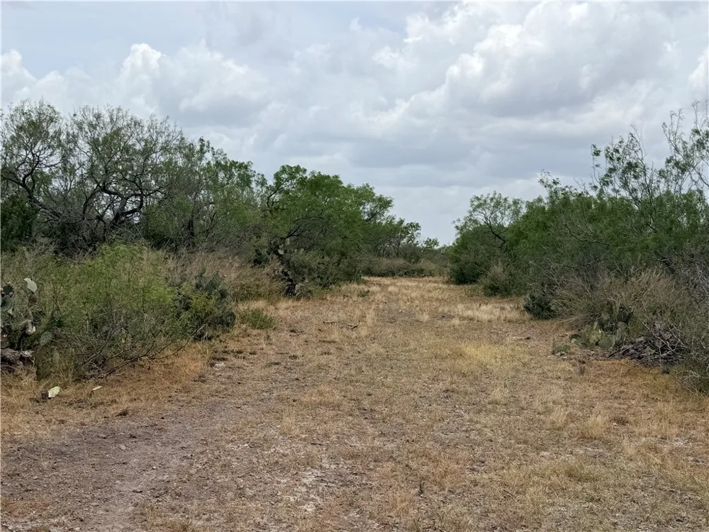 242 Cinco Millas Road Tilden, TX 78072
