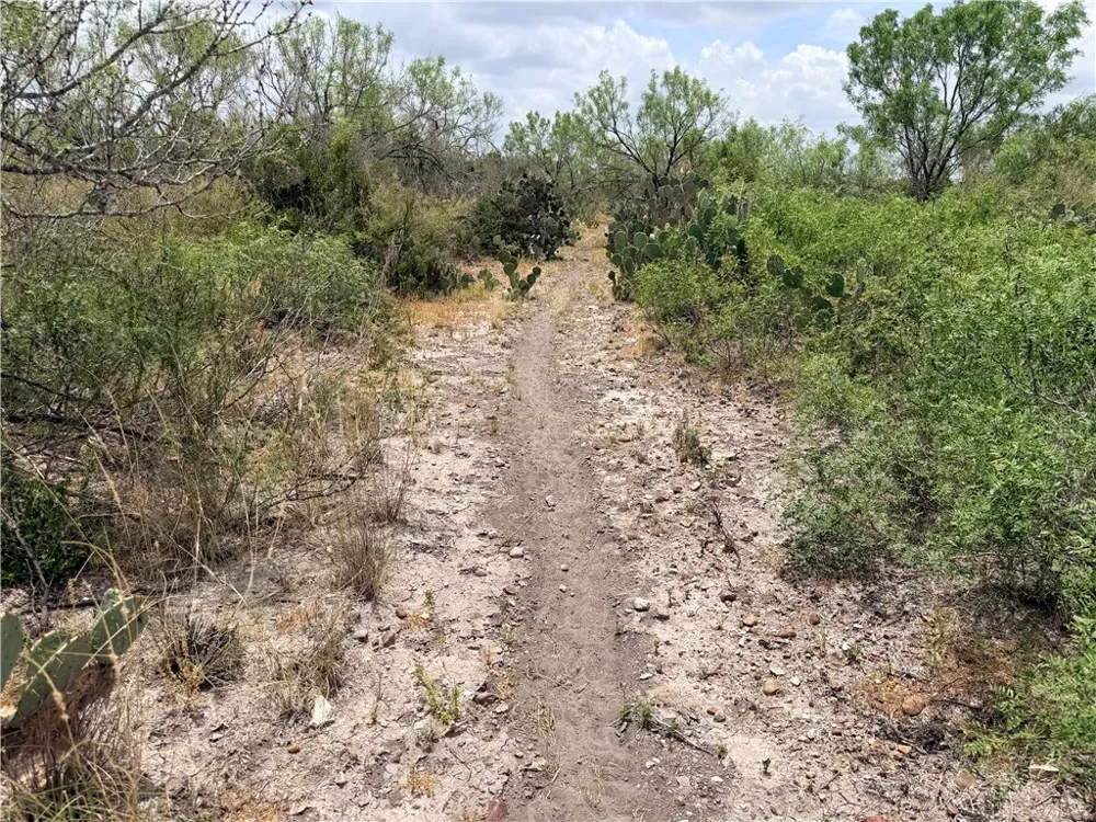 242 Cinco Millas Road Tilden, TX 78072