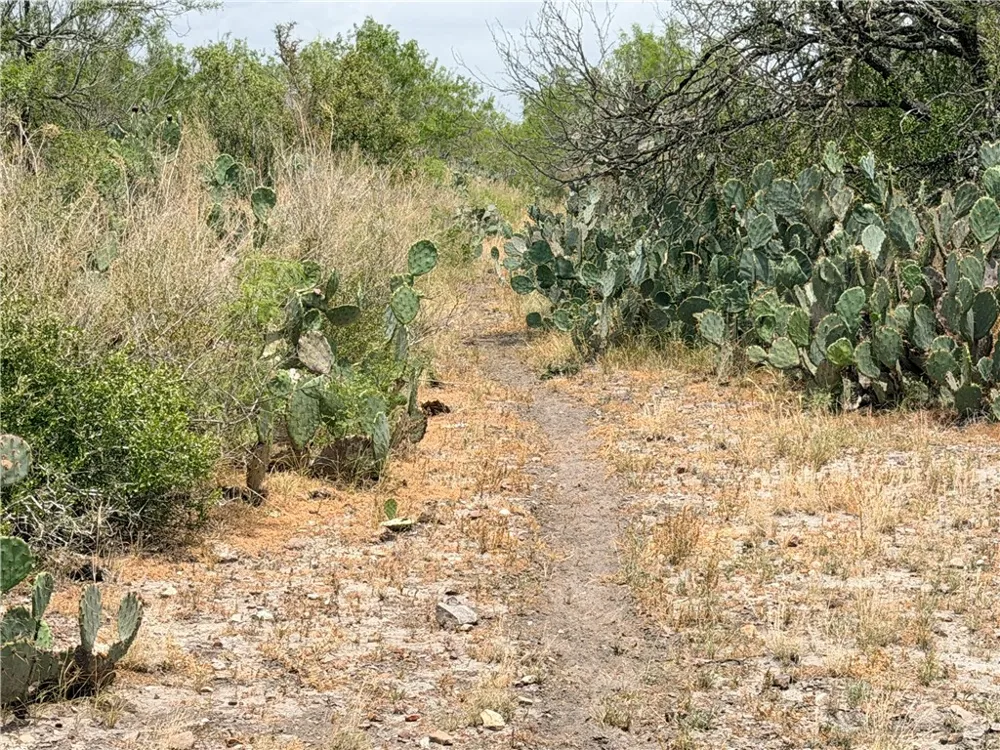 242 Cinco Millas Road Tilden, TX 78072