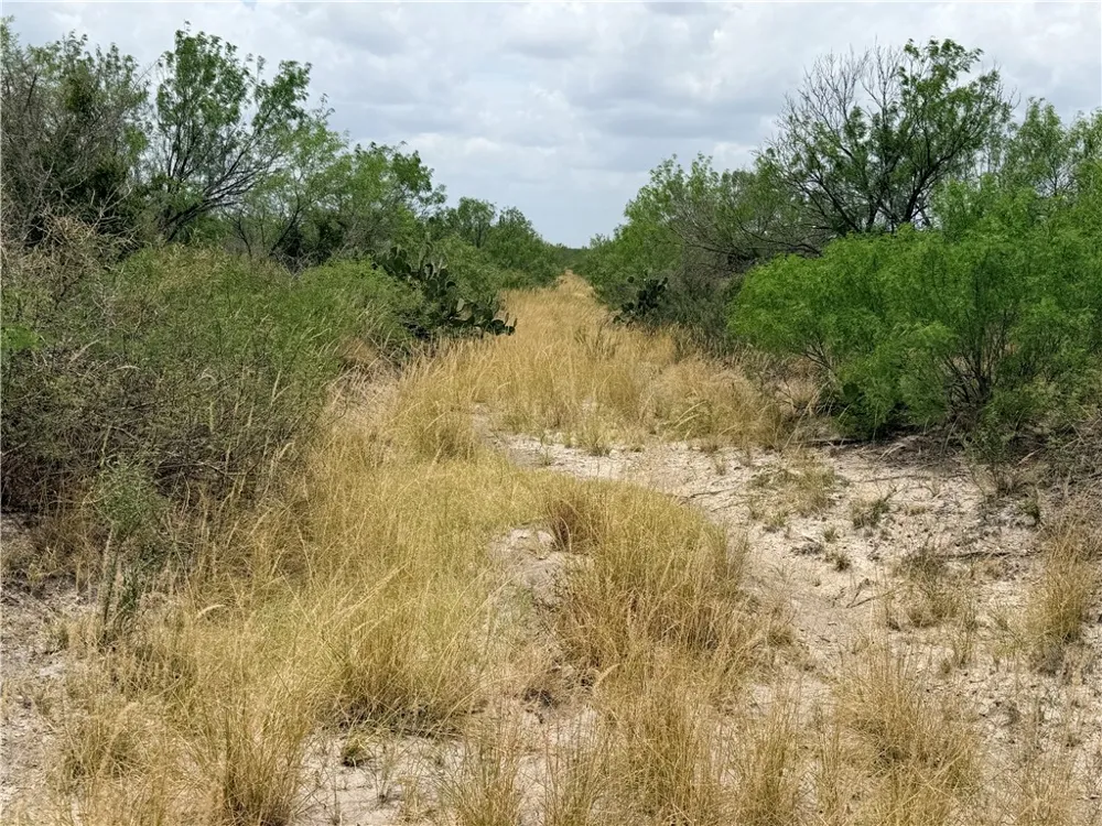 242 Cinco Millas Road Tilden, TX 78072