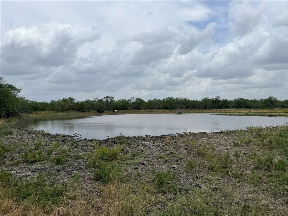 242 Cinco Millas Road Tilden, TX 78072