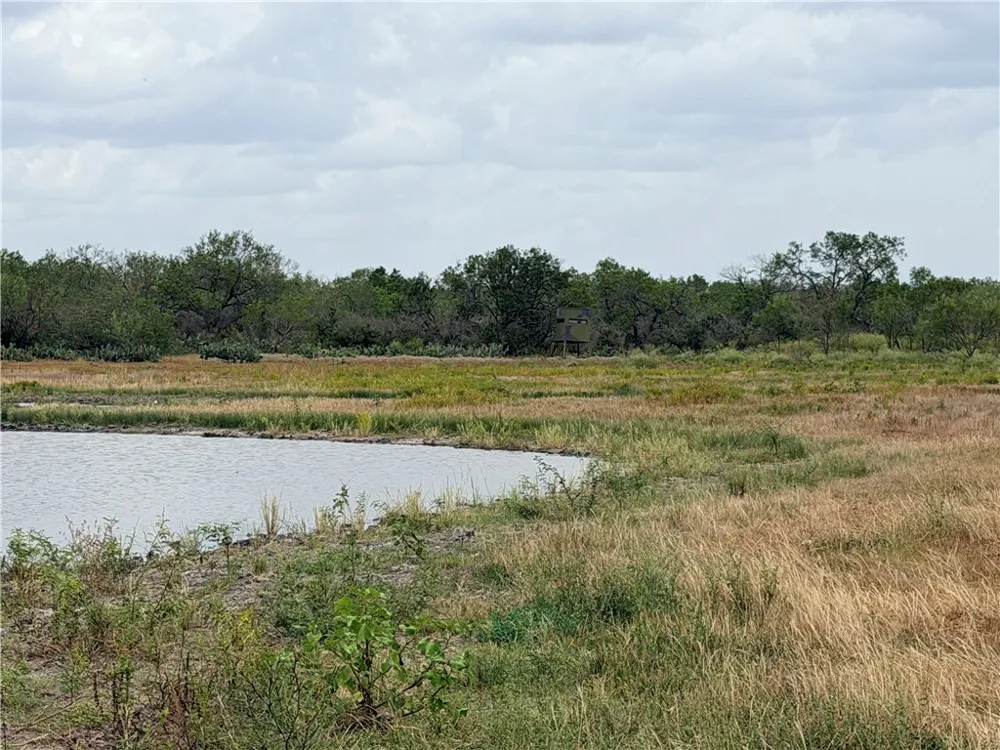 242 Cinco Millas Road Tilden, TX 78072