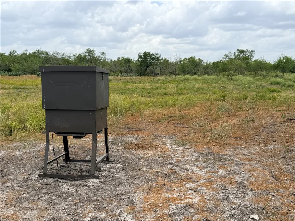 242 Cinco Millas Road Tilden, TX 78072