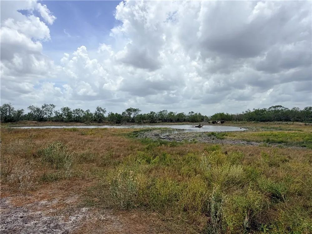 242 Cinco Millas Road Tilden, TX 78072