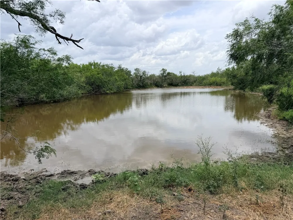 242 Cinco Millas Road Tilden, TX 78072