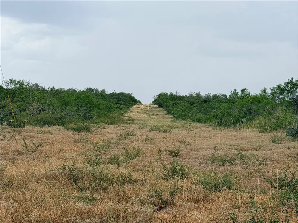 242 Cinco Millas Road Tilden, TX 78072