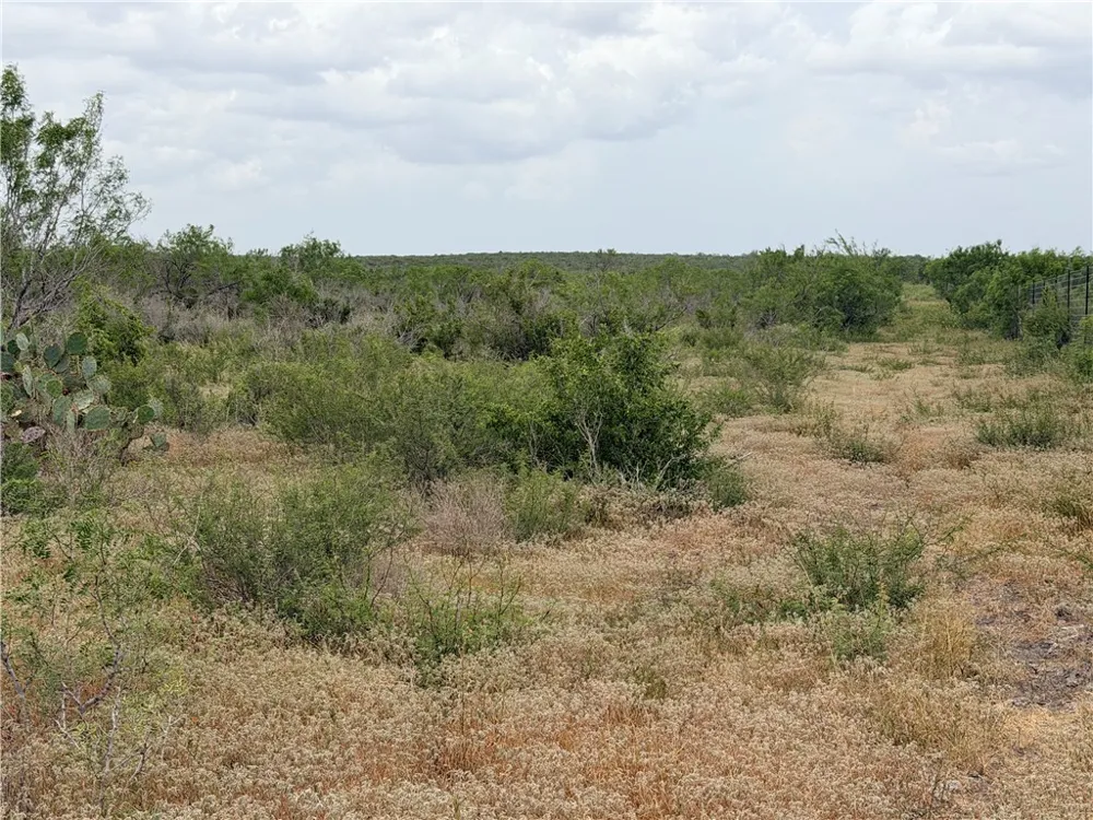 242 Cinco Millas Road Tilden, TX 78072
