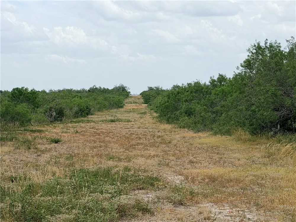 242 Cinco Millas Road Tilden, TX 78072