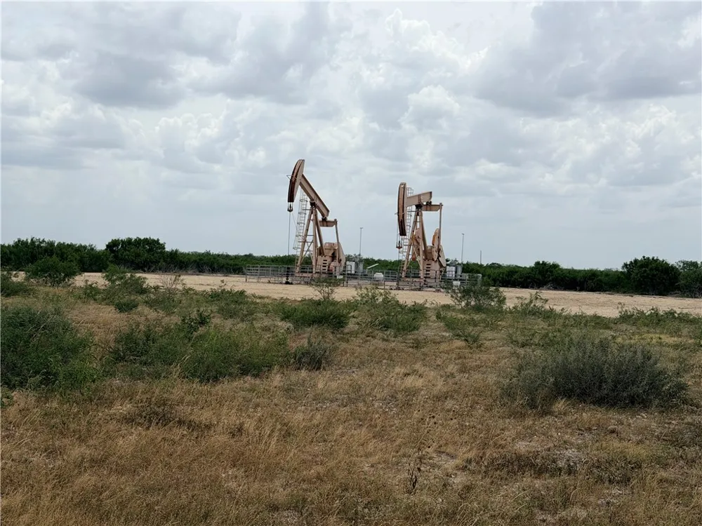 242 Cinco Millas Road Tilden, TX 78072