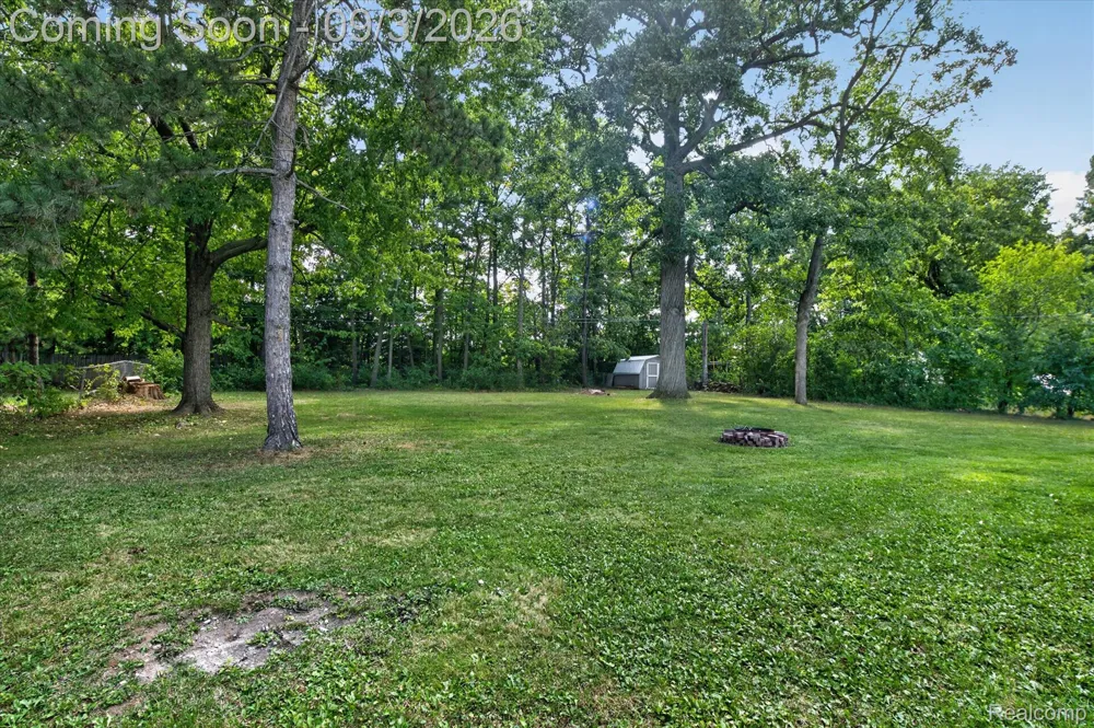 6215 Anavista Drive Mundy Township, MI 48507