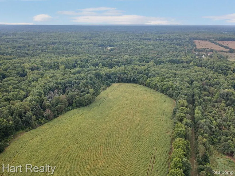3373 June Road Marathon Township, MI 48421