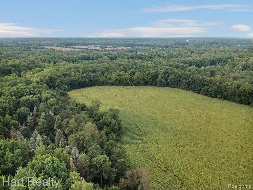 3373 June Road Marathon Township, MI 48421