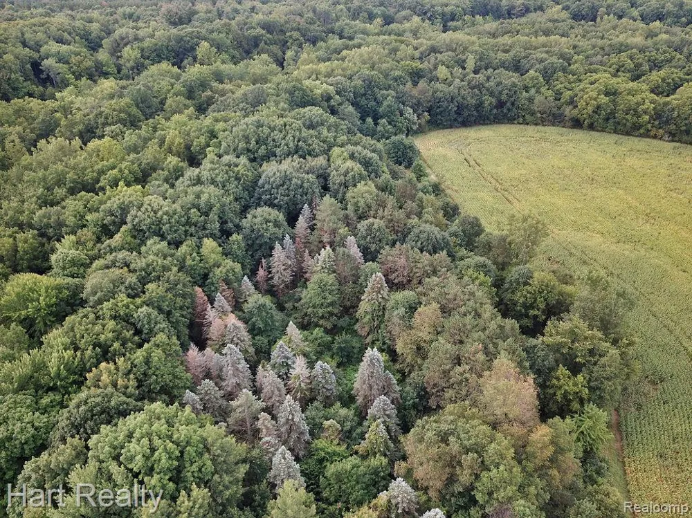 3373 June Road Marathon Township, MI 48421