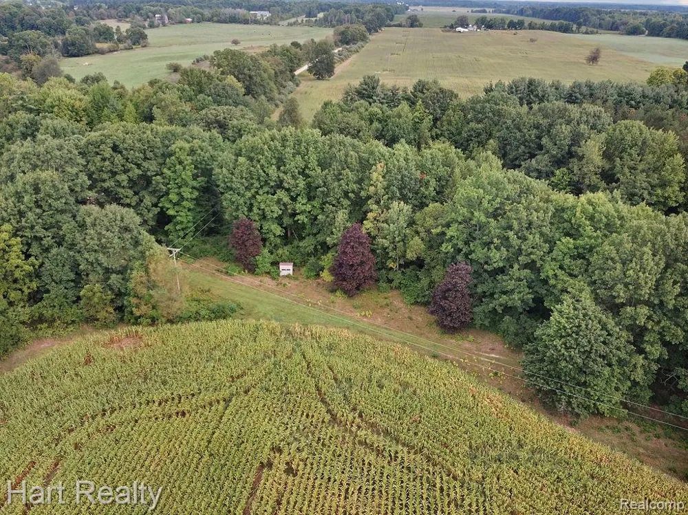 3373 June Road Marathon Township, MI 48421