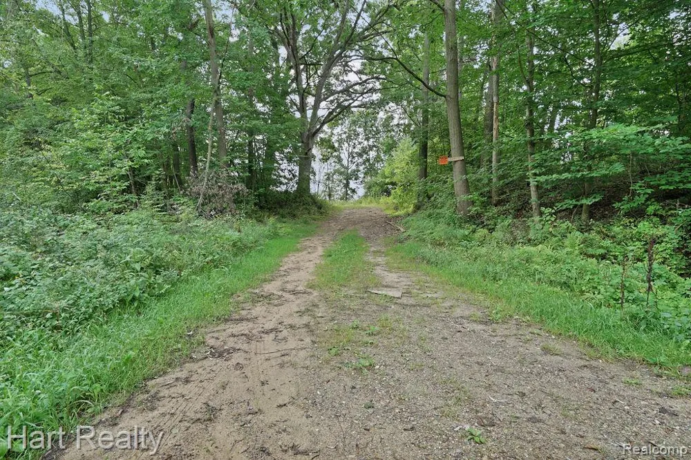 3373 June Road Marathon Township, MI 48421