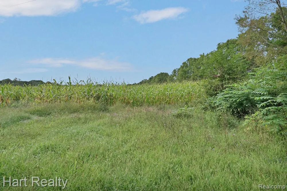 3373 June Road Marathon Township, MI 48421