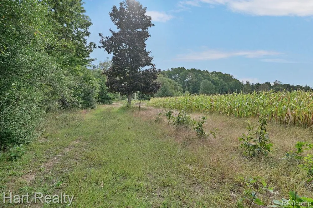 3373 June Road Marathon Township, MI 48421