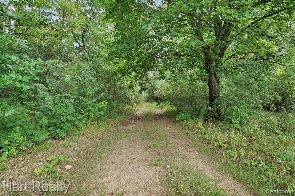 3373 June Road Marathon Township, MI 48421