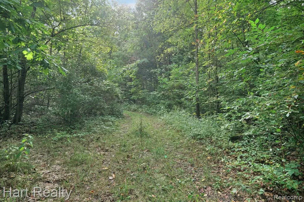 3373 June Road Marathon Township, MI 48421