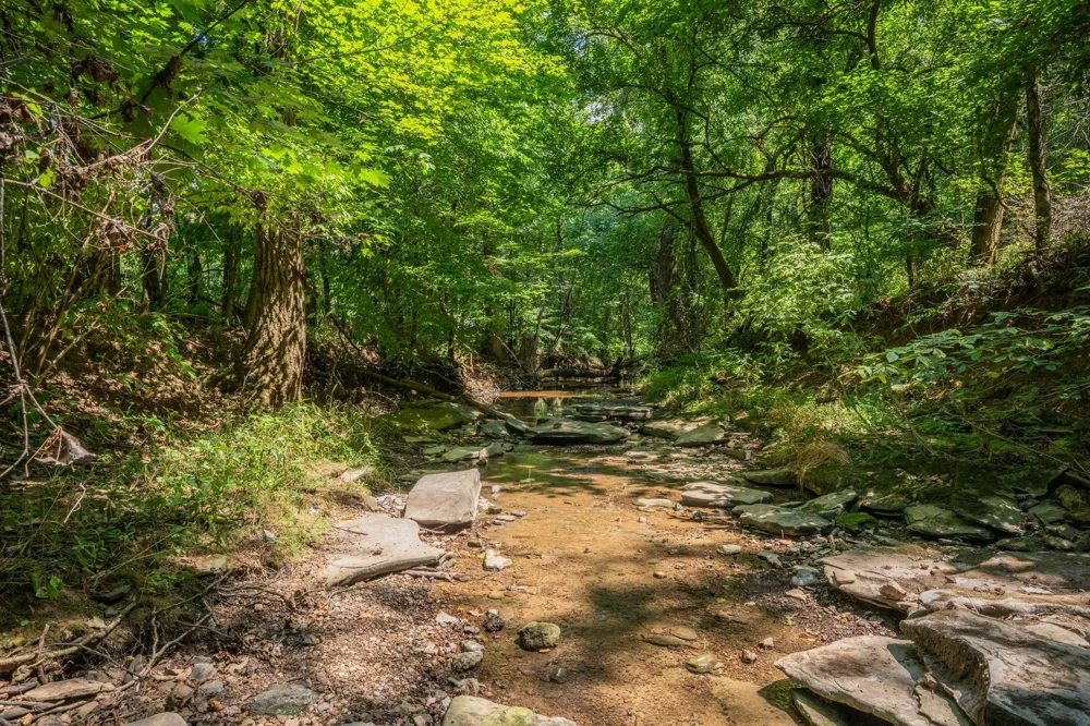 2290 Osburn Rd Arrington, TN 37014
