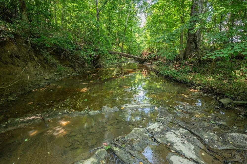 2290 Osburn Rd Arrington, TN 37014