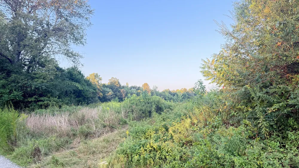 0 Normandy Rd Normandy, TN 37360