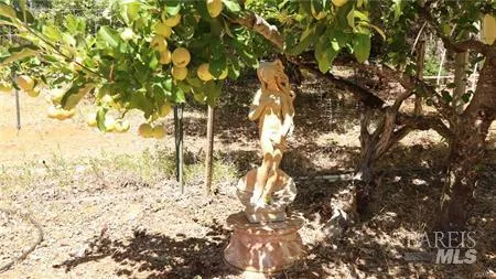 11444 Bottle Rock Road Kelseyville, CA 95451