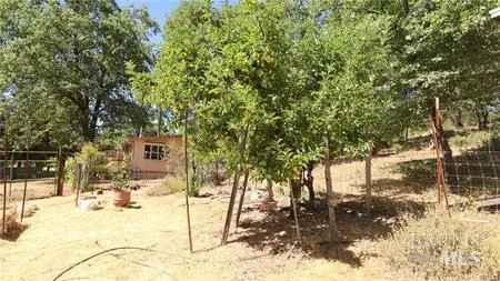 11444 Bottle Rock Road Kelseyville, CA 95451