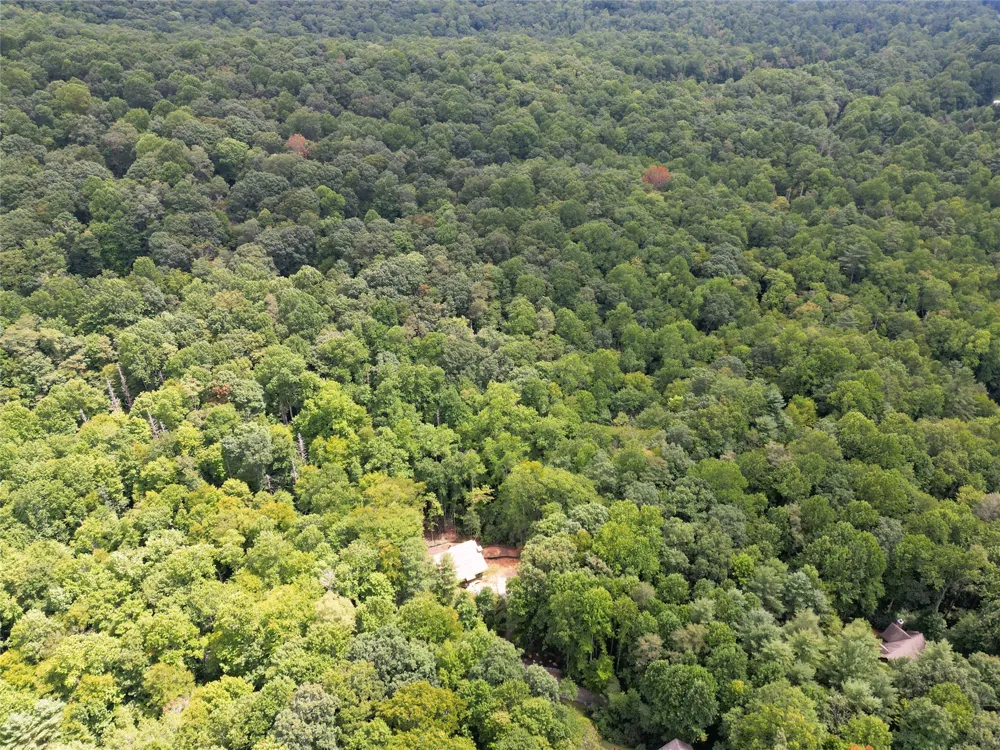 1925 Black Oak Drive Sapphire, NC 28774
