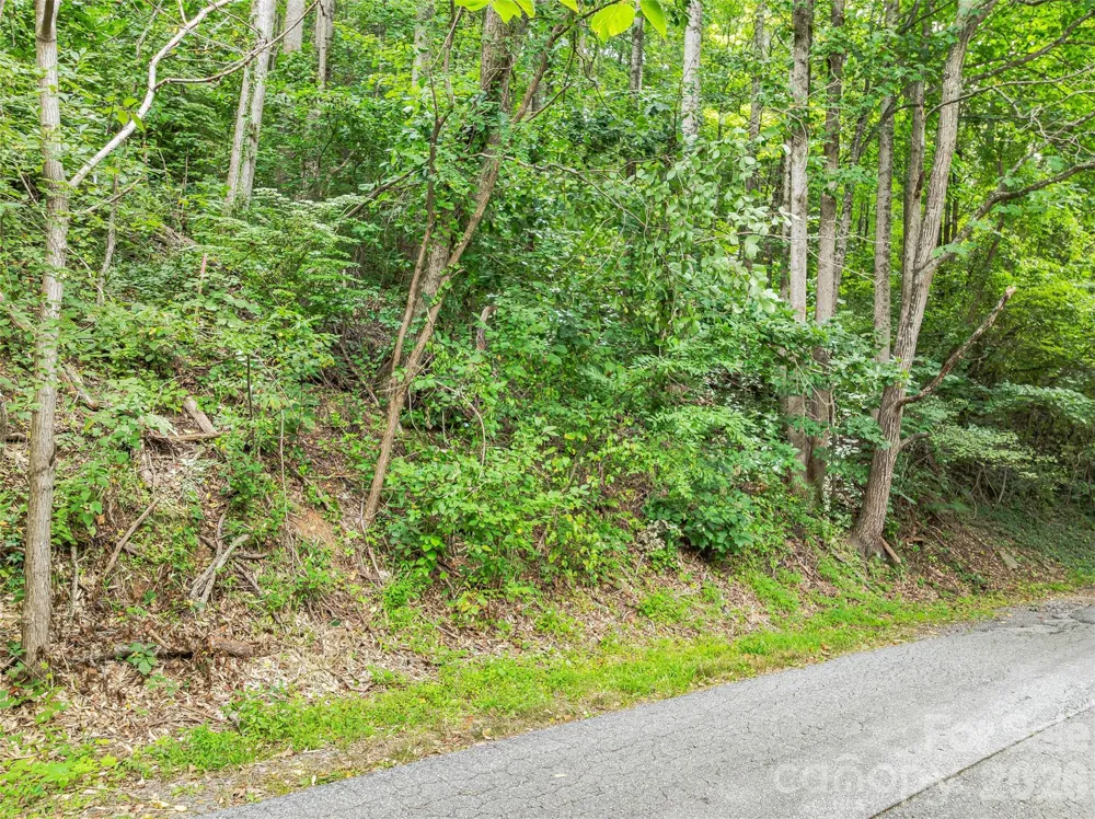 1.54 Acres Breezeway Drive Asheville, NC 28803