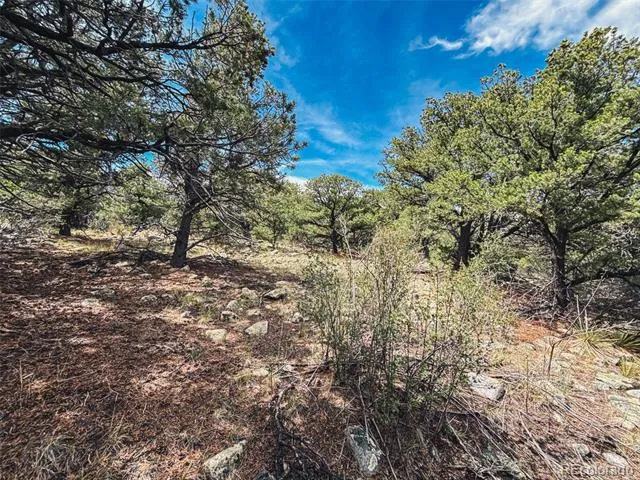 33 Stage Station Circle Mosca, CO 81146