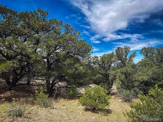 33 Stage Station Circle Mosca, CO 81146