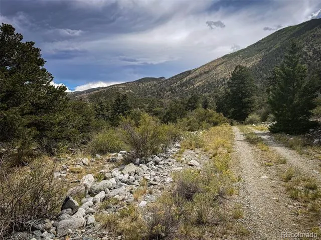 33 Stage Station Circle Mosca, CO 81146