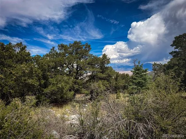 33 Stage Station Circle Mosca, CO 81146
