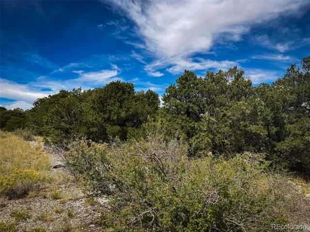 33 Stage Station Circle Mosca, CO 81146