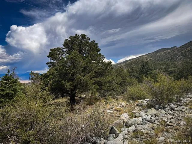 33 Stage Station Circle Mosca, CO 81146