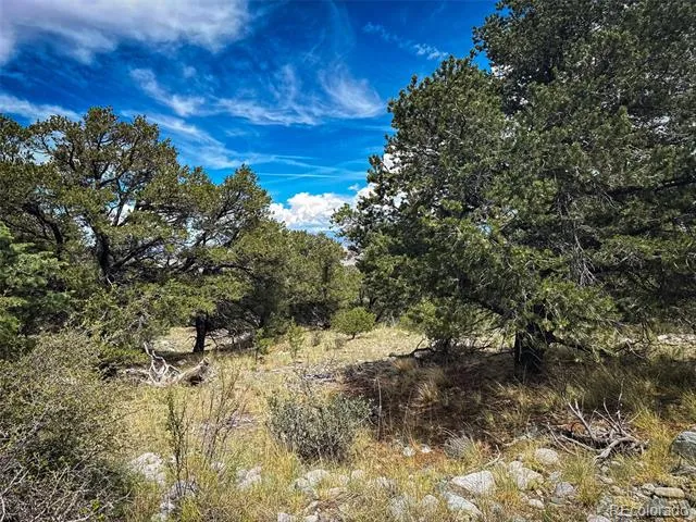 33 Stage Station Circle Mosca, CO 81146