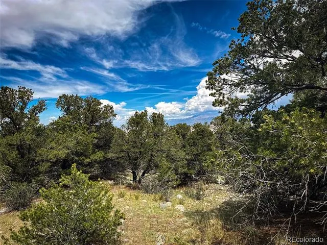 33 Stage Station Circle Mosca, CO 81146