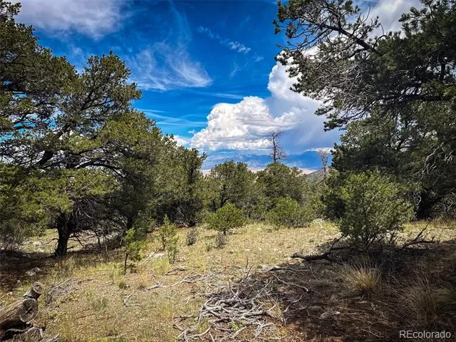 33 Stage Station Circle Mosca, CO 81146