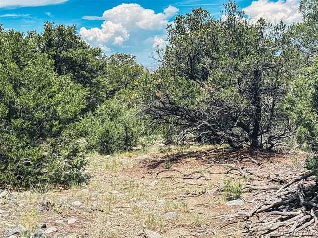 33 Stage Station Circle Mosca, CO 81146