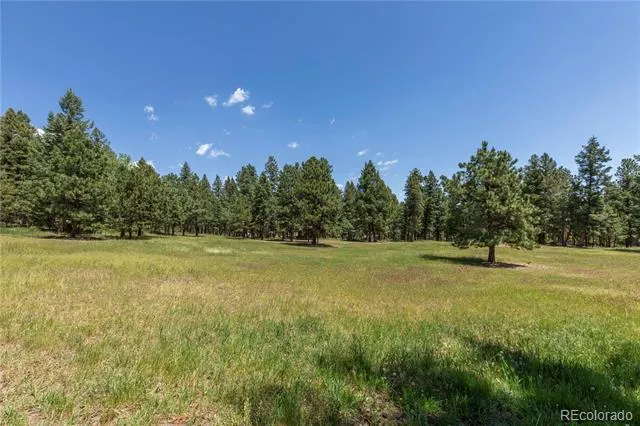 8830 Blue Creek Road Evergreen, CO 80439