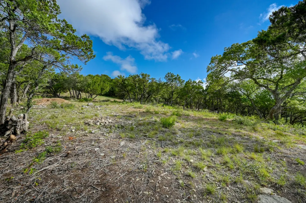 10909 Turkey Bend Drive Jonestown, TX 78645