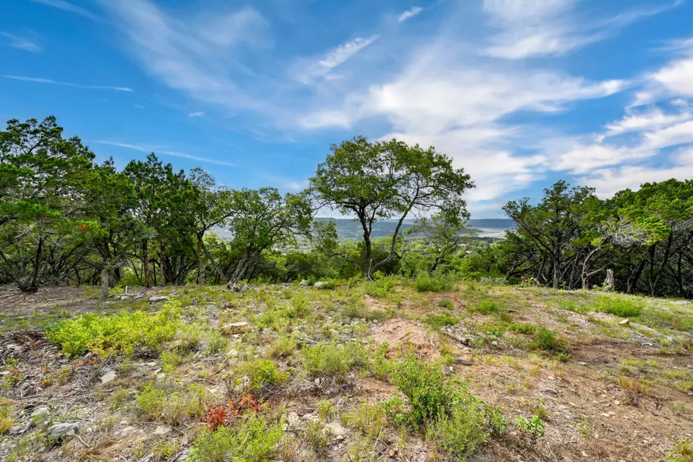 10909 Turkey Bend Drive Jonestown, TX 78645