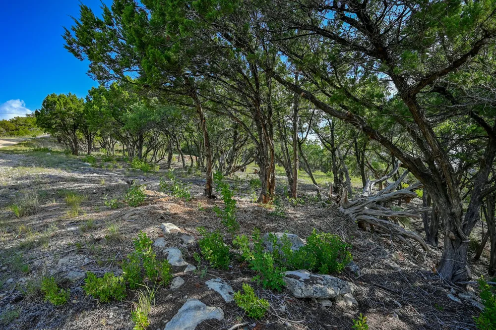 10909 Turkey Bend Drive Jonestown, TX 78645
