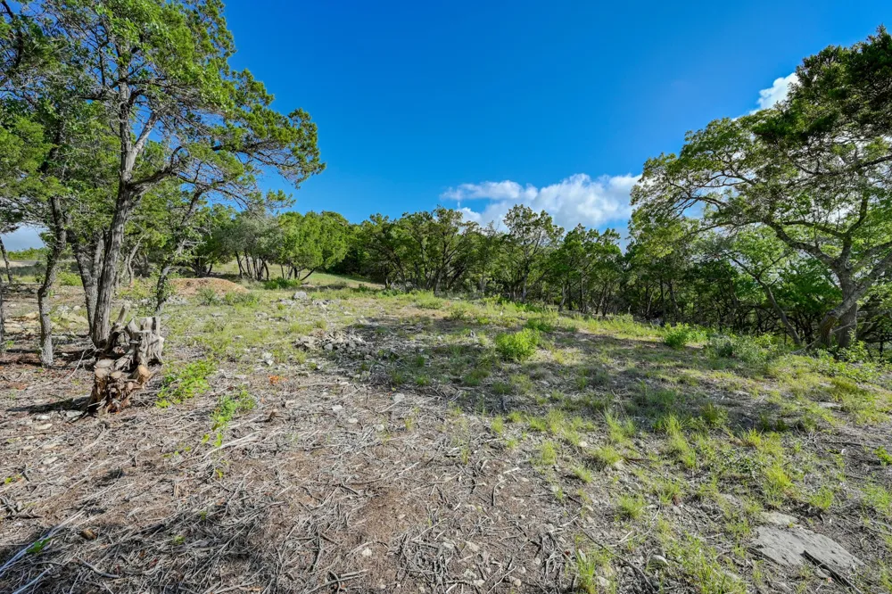 10909 Turkey Bend Drive Jonestown, TX 78645